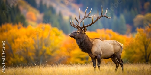 Majestic bull elk surveys his territory in the fall AI Generative, forest, bull, autumn elk, fall