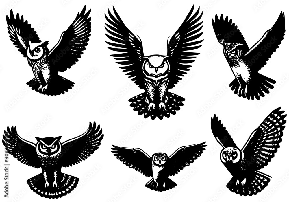 Fototapeta premium set of OWL, silhouette of owl