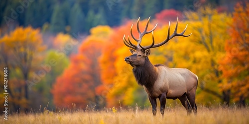 Majestic bull elk surveys his territory in the fall AI Generative, forest, bull, autumn elk, fall