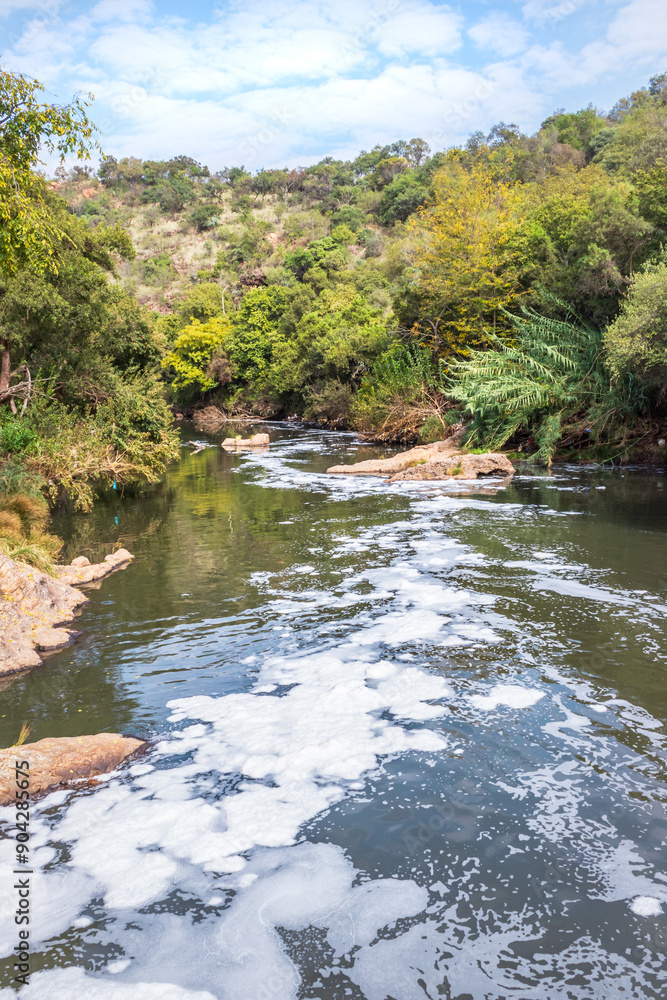 Obraz premium View of a Hennops Hiking Trail, with river running through, small bridge and cableway over the river, Hartbeespoort, Johannesburg, South Africa