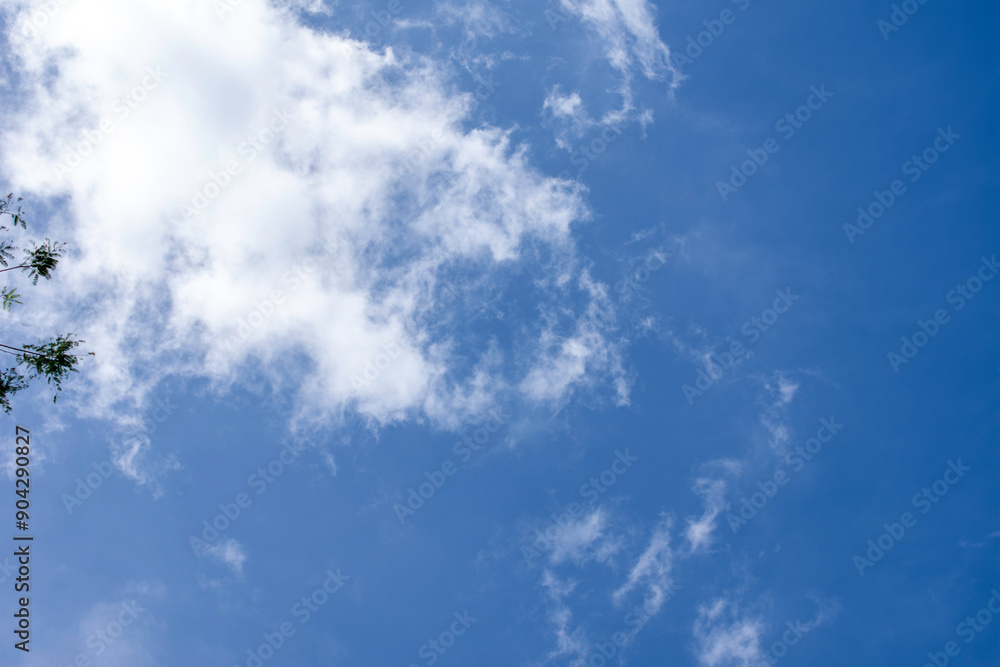 Fototapeta premium Vast Expanse of the Sky