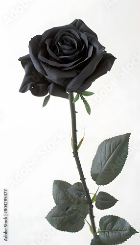 Black Rose