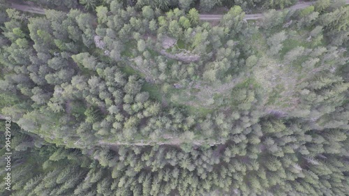 video drone paesaggio montuoso, con veduta dall'alto su foresta con cascata risoluzione 4k