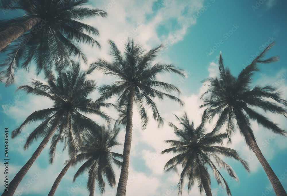 Blue sky and palm trees view from below vintage style tropical beach and summer background travel co Blue sky and palm trees view from below vintage style tropical beach and summer background travel co