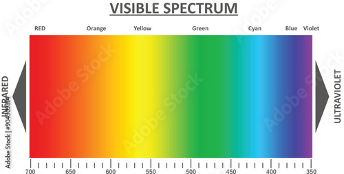 Visible light spectrum. Electromagnetic visible color spectrum for human eye. Vector gradient diagram with wavelength and colors. Educational illustration on white 