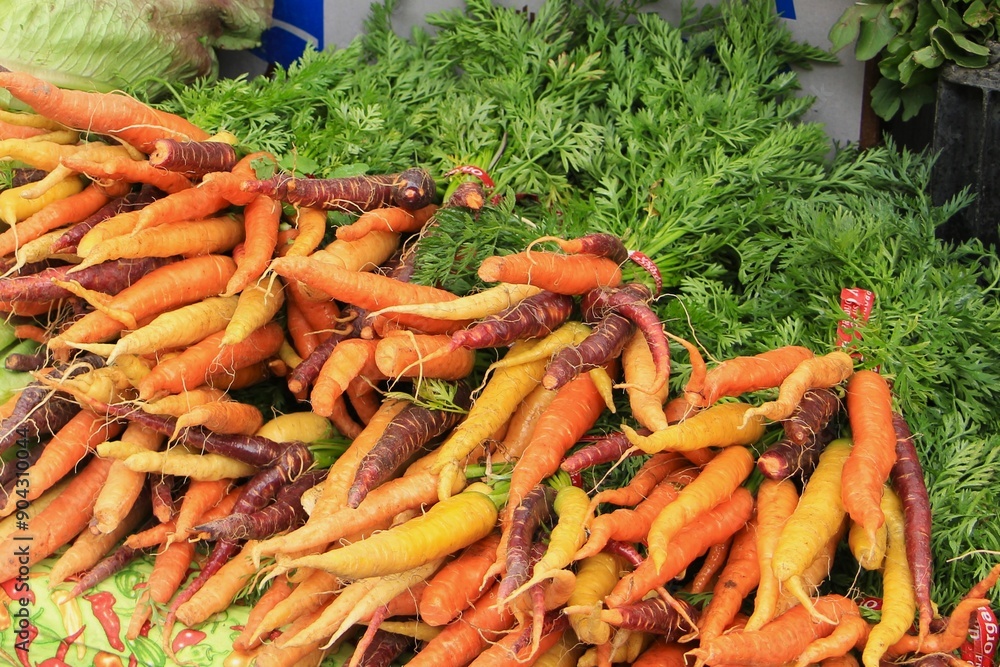 Bunch of many colorful carrots with green Bunch of many colorful carrots with green