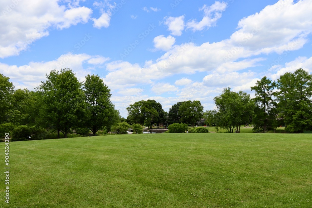 The green grass field in the country on a sunny day. The green grass field in the country on a sunny day.