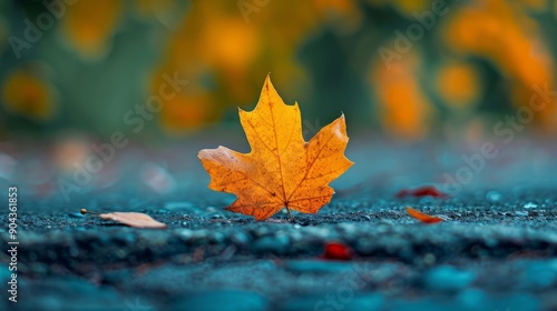 Golden leaf resting on ground after falling from great height in autumn
