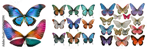 Vibrant Collection of Butterflies