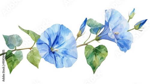 a chibi morning glory, watercolor art, serene blue, isolated on white background