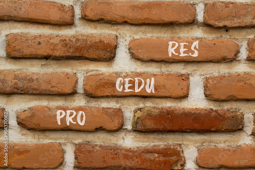 Procedures symbol. Concept word Procedures on beautiful brown bricks. Beautiful brown brick wall background. Business procedures concept. Copy space. © Dzmitry