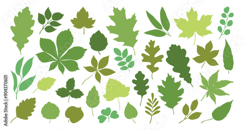Set of silhouettes of various tree leaves, oak, maple, and chestnut. Simple, green monochrome spring or summer leaves collection. Flat vector illustration on a white background.
