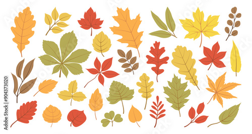 Set of autumn leaves from different trees, oak, maple, chestnut. Simple, yellow, red, orange fall leaf set for pattern, banner, sticker, Hallo autumn card. Flat vector illustration on white background