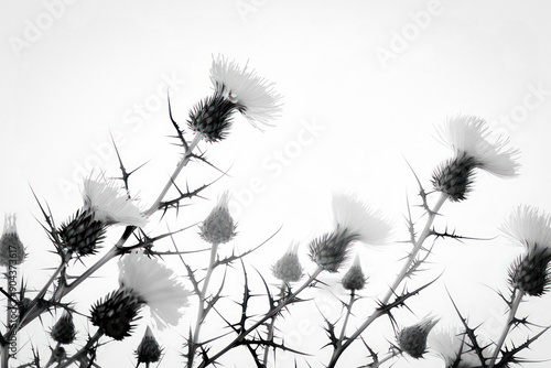 A black and white photo sho...