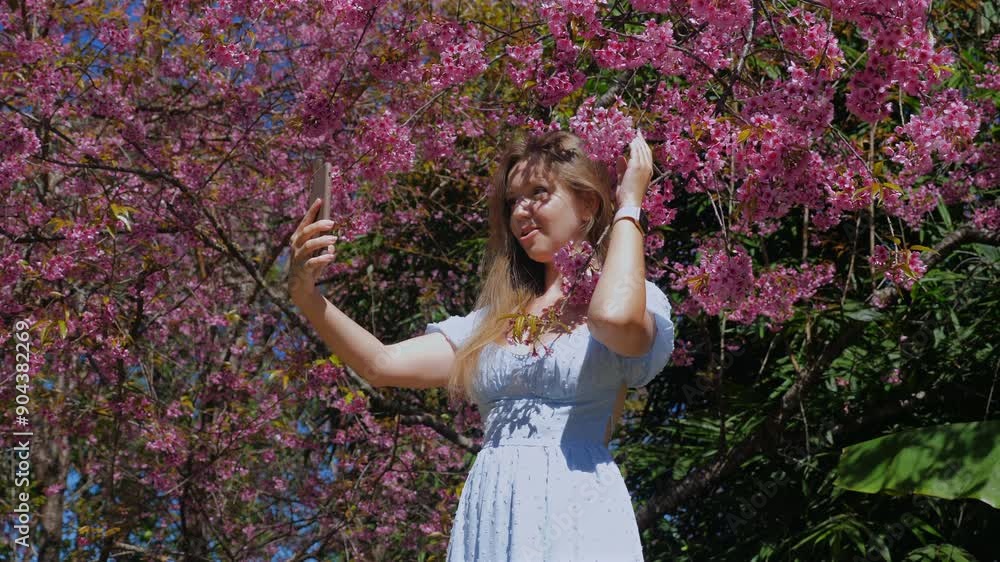 Young woman in white dress taking selfie among blooming pink cherry blossom trees in spring, Joy and Nature. Young woman in white dress taking selfie among blooming pink cherry blossom trees in spring, Joy and Nature.