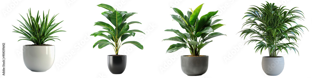 Array of potted green plants in modern ceramic pots, perfect for home decor, office, indoor gardening, and aesthetic living spaces. transparent background