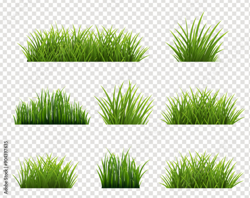 Green Grass Border Set And Isolated Transparent Background