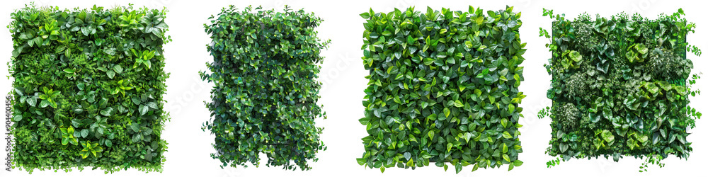 Set of four different green hedge panels. Perfect for garden, landscaping, or natural background decor. Vibrant foliage texture. transparent background Set of four different green hedge panels. Perfect for garden, landscaping, or natural background decor. Vibrant foliage texture. transparent background