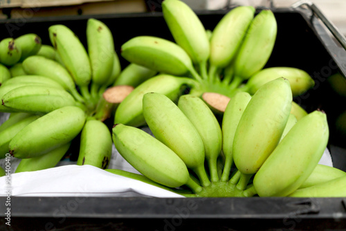 A lots of green lady finger bananas on floor after the harvest. Fresh sweet bananas from agriculture farm are taken to the market for sale. photo