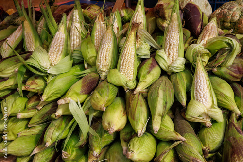 Fresh corn on the cob with husk photo