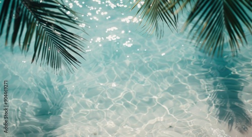 Tropical Palm Leaves Over Crystal Clear Water at Midday