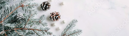 Snow-Covered Pine Branches With Pinecones and Soft Bokeh Background in Winter...