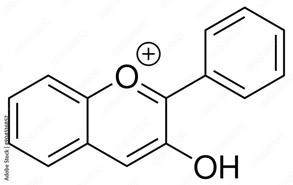 Fototapeta premium Anthocyanidin Chemie Strukturformel