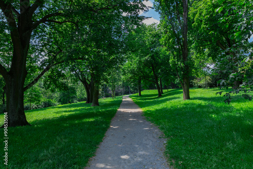 A very green park with trees and a path photo