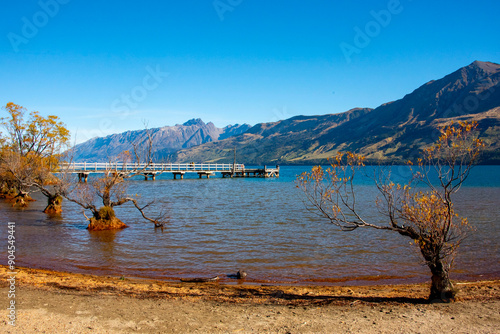 That Glenorchy Tree - New Zealand photo