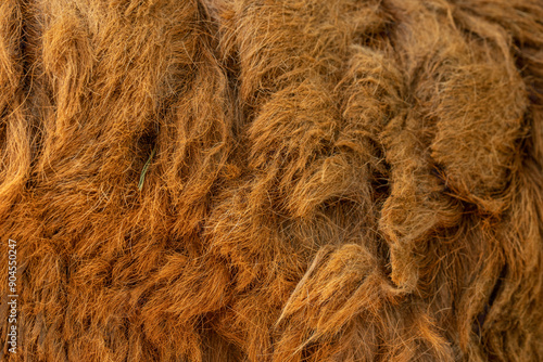 Natural raw sheep wool, selective focus with seamless texture background