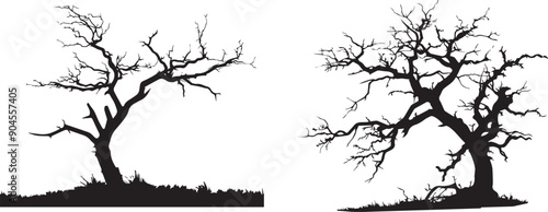 Dead tree silhouette vector, dry branches of trees without leaves