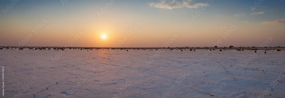 Naklejka premium Sunset over a dry lake bed with a herd of animals.