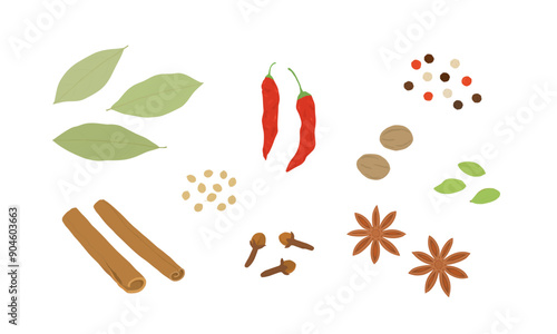 Set of dried spices. Hand drawn vector illustration. Bay leaves, cinnamon stick, chili pepper, coriander seed, clove, peppercorn, nutmeg, cardamon, star anise.
