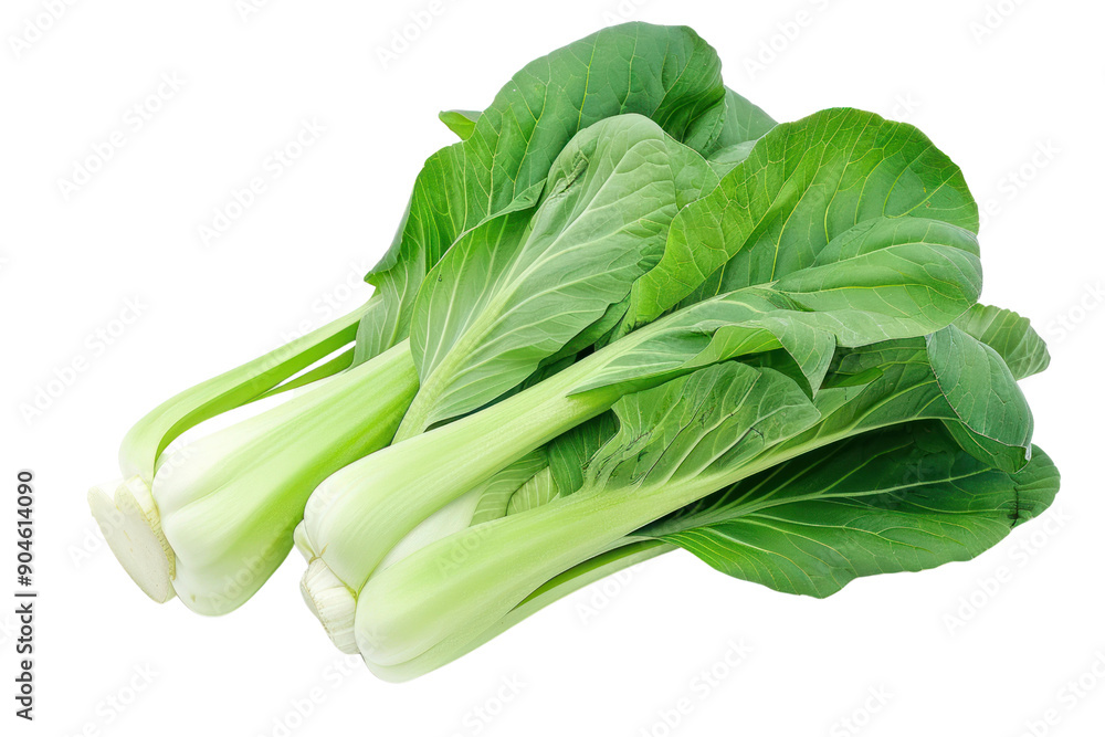 Cabbage with dark green stalks and light green leaves, isolated on white background. Cabbage with dark green stalks and light green leaves, isolated on white background.