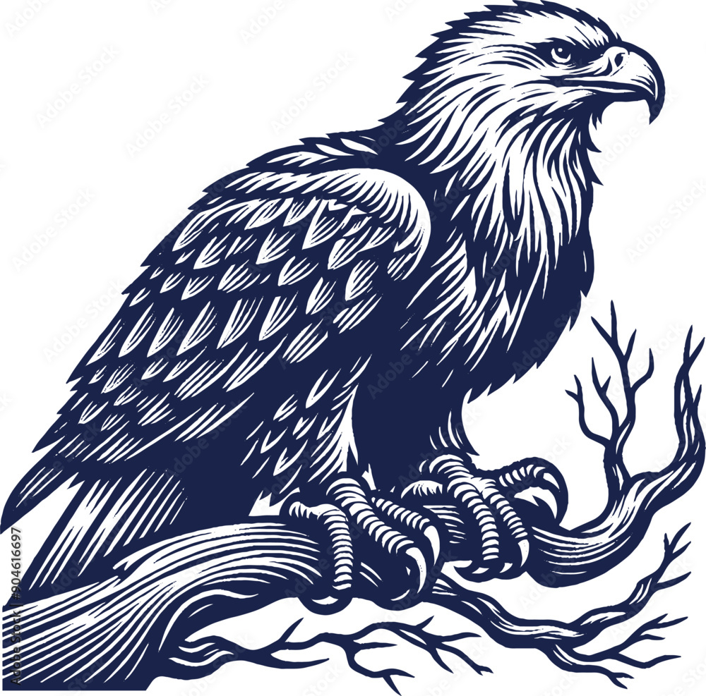 Fototapeta premium Eagle Vector, eagle silhouette, eagle Vector drawing 