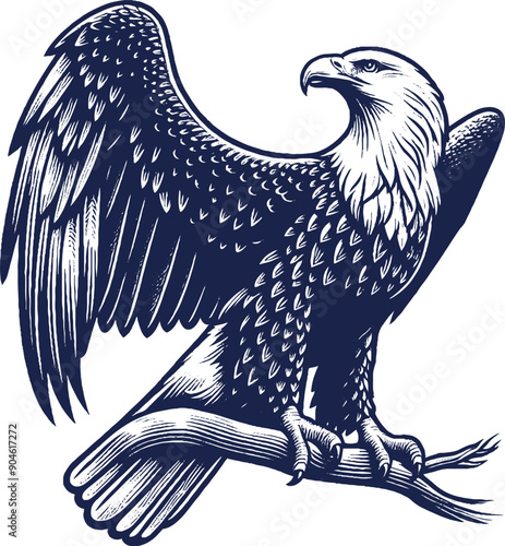 Eagle Vector, eagle silhouette, eagle Vector drawing	