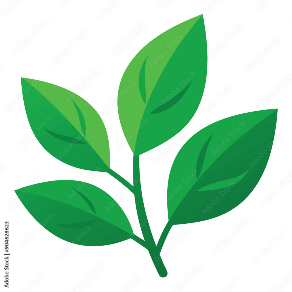 Green leaves flat vector illustration on white background Green leaves flat vector illustration on white background