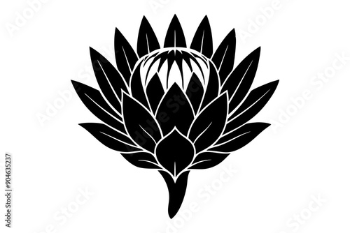 
king protea flower vector silhouette, vector black king protea silhouette, king protea flower icon
