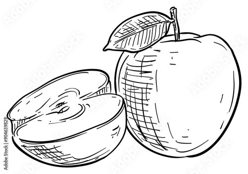 apple handdrawn illustration