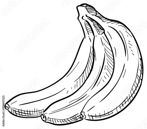 banana handdrawn illustration