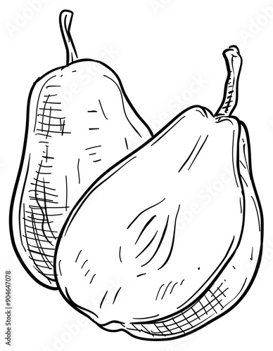 pear handdrawn illustration