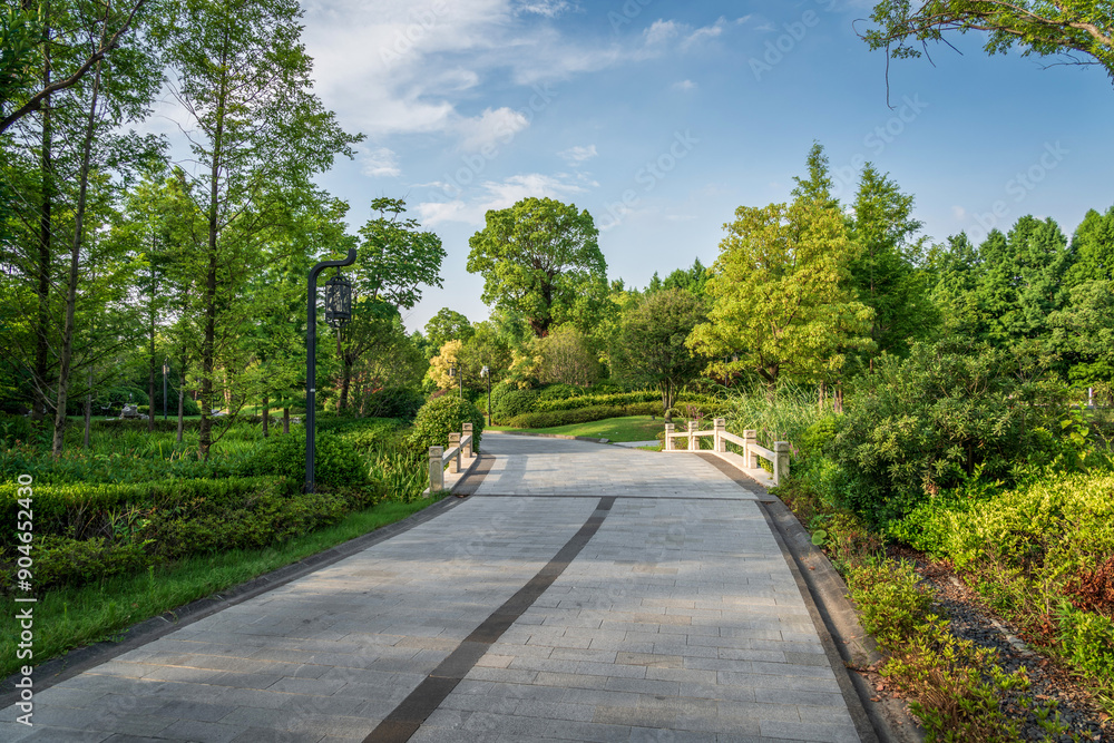 Serene Park Pathway on a Sunny Day Serene Park Pathway on a Sunny Day