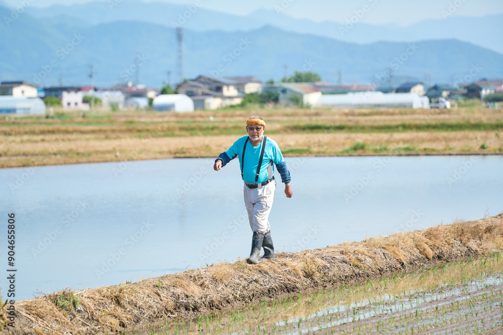 田植えをする農家さん 田植えをする農家さん