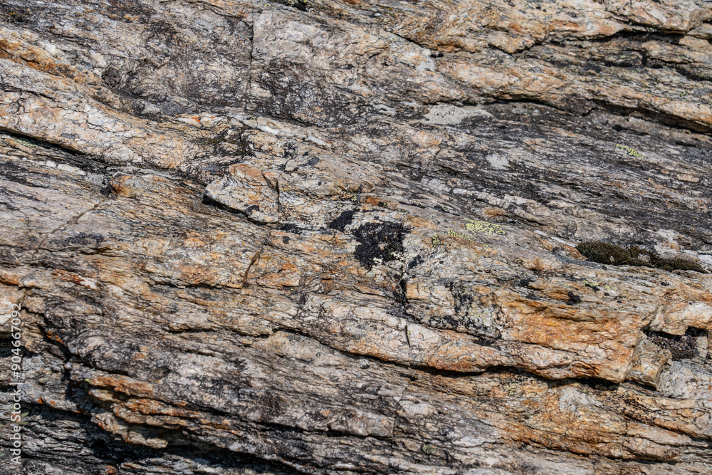 mica-quartz schist / Yukon-Tanana Terrane bedrock, Savage River canyon, Denali National Park & Preserve, Alaska geology