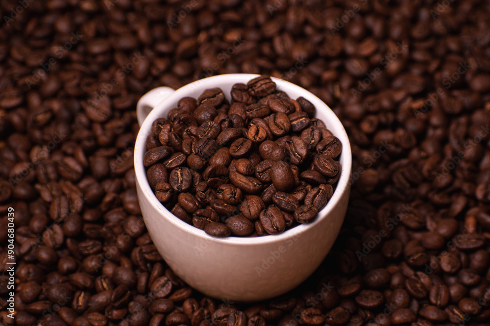 Coffe Shop Coffe Shop