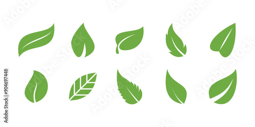 Set of green leaf design. Leaves of trees and plants. Premium Vector