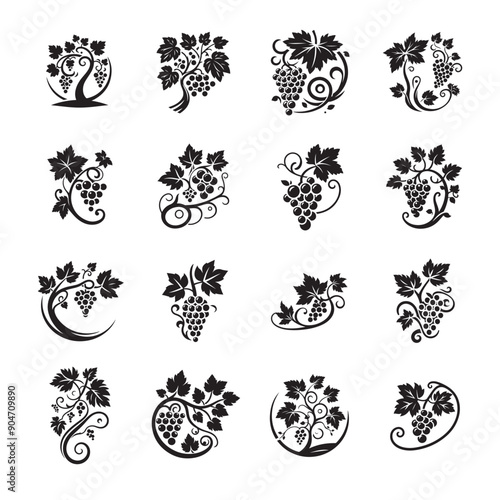 Grapevine vector icon set, grapevine ornaments, grapevine silhouette collection, logo design, black grapevine, Grape silhouette with leaves, 
