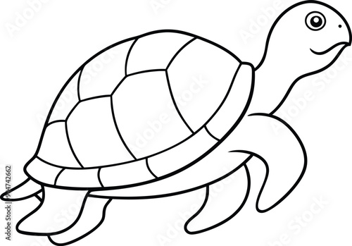 hand drawn turtle outline illustration