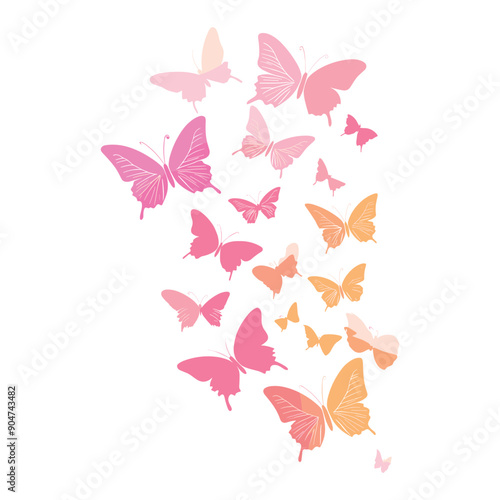 Pink and orange butterflies on a white background.