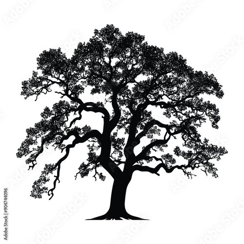 Black silhouette of a large tree on a white background.